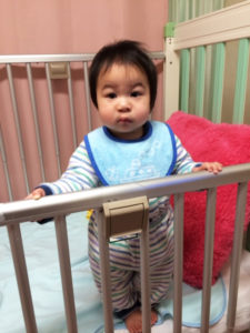 捕らえられたぱんなこさん笑笑